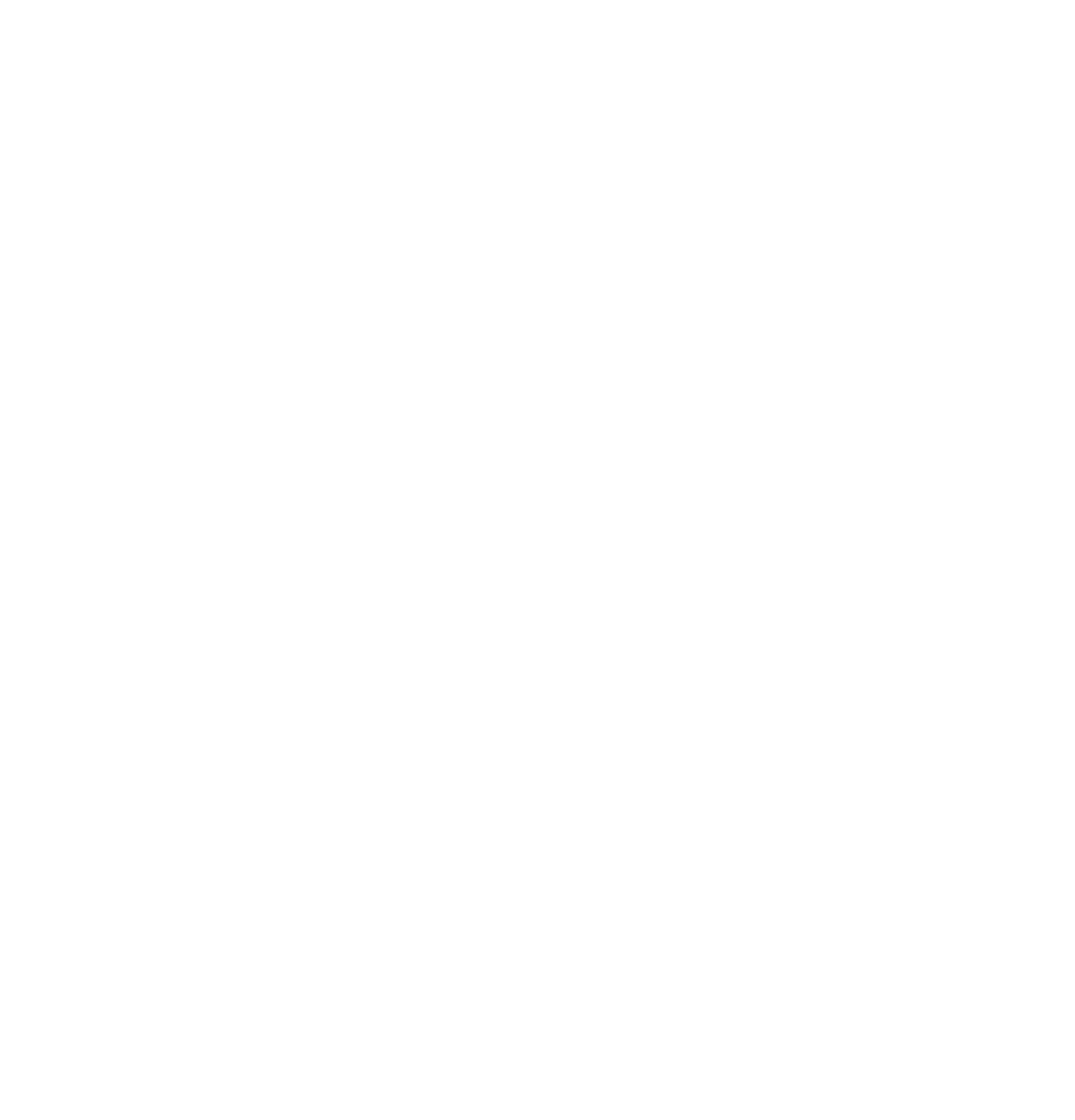 Instagramin valkoinen logo.